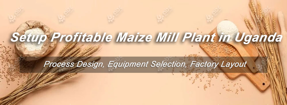 set up best maize mill plant in Uganda at lowest cost