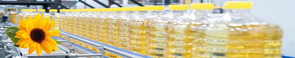 Unlocking Whole Sunflower Oil Processing Technology