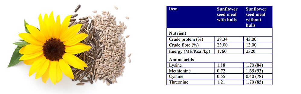 hulled and dehulling sunflower seed meal