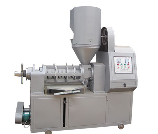 oil seed screw press machine with feeding system 