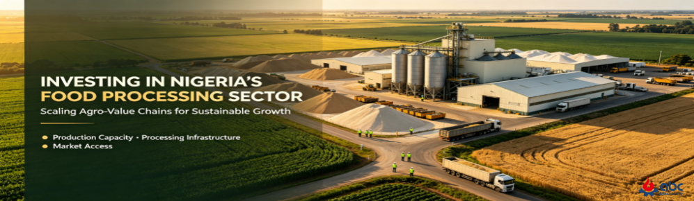 how to setup best grain flour mill plant in Nigeria