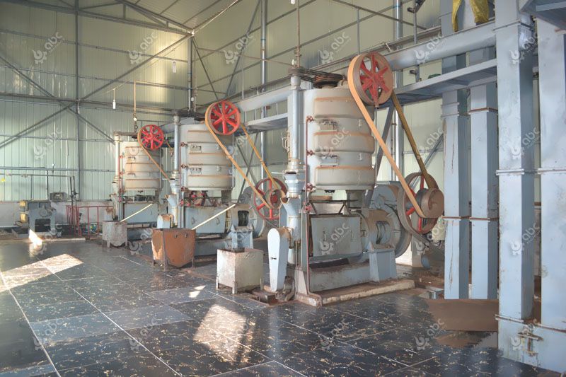 large peanut oil processing line