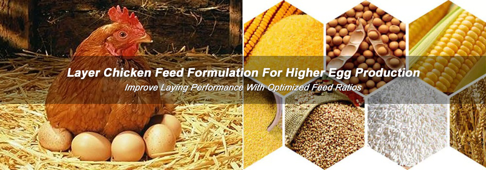 Layer Feed Formulation, Cost-Saving Layer Diets, Buy Layer Feed Equipment, ABC Machinery