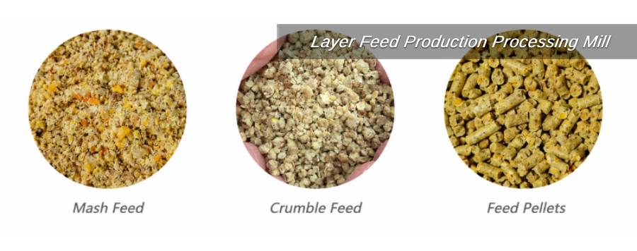 Layer Feed Processing Types