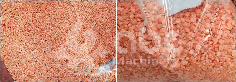 lentil seeds after peeling or dehulling