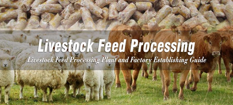 livestock feed processing