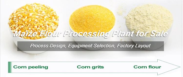 Maize Flour and Maize Grits Processing
