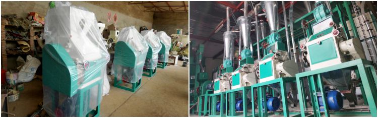 Maize Flour Processing Machine