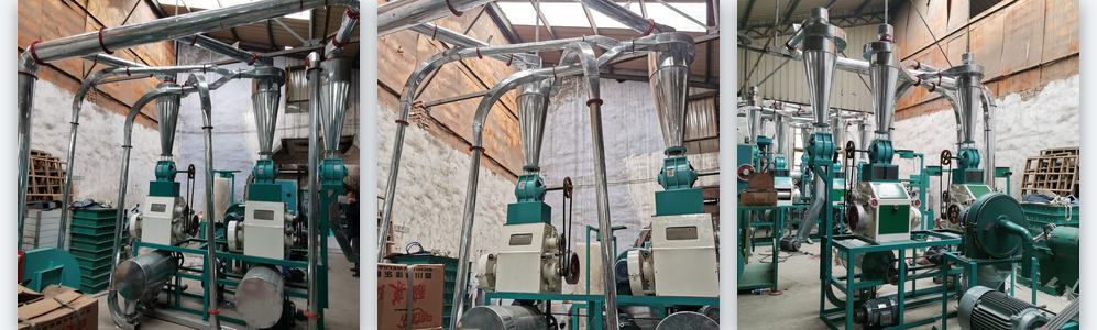 10tpd maize flour milling line assembled and wired in the workshop, mills beneath cyclones with stainless pneumatic conveying