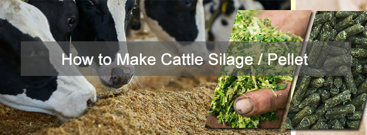 cattle feed making machine manufacturer