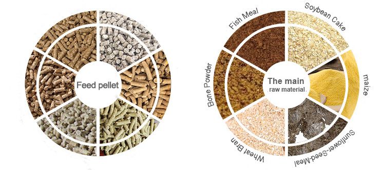 Make Various Feed Pellets