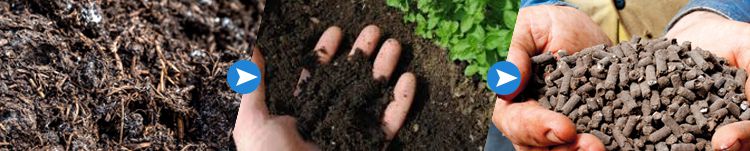 Processing Chicken Manure Into Organic Fertilizer Pellets