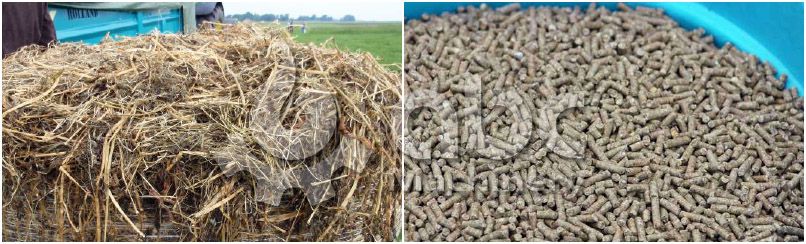 making livestock feed pellets