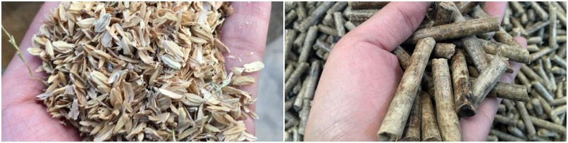 making rice husk pellets for burning