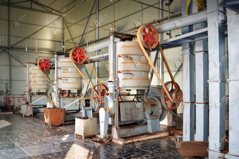 small mustard oil mill business plan