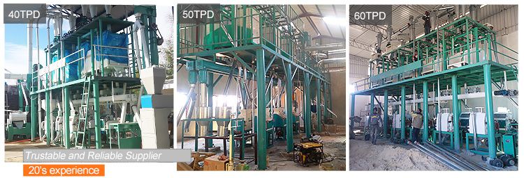 Medium Scale Wheat Flour Mill Plant