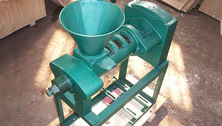 Mini Oil Expeller Machine