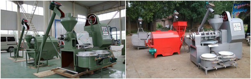 mini soybean oil manufacturing unit