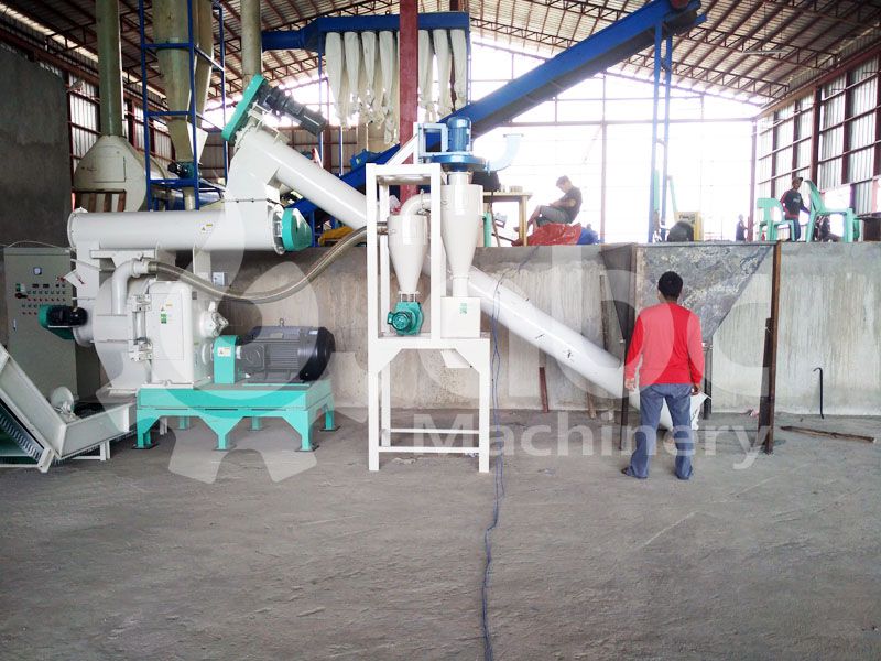 napier grass pellet mill for large scale production plant