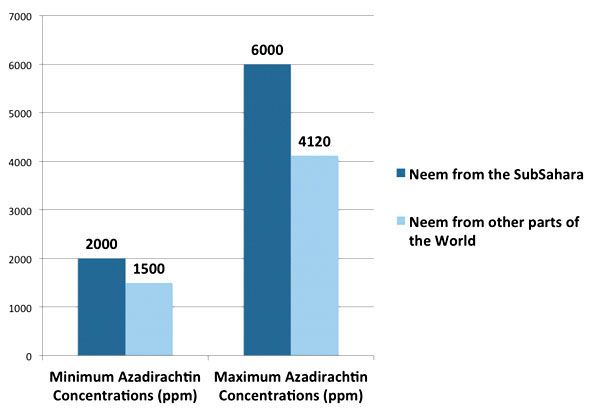 neem global production