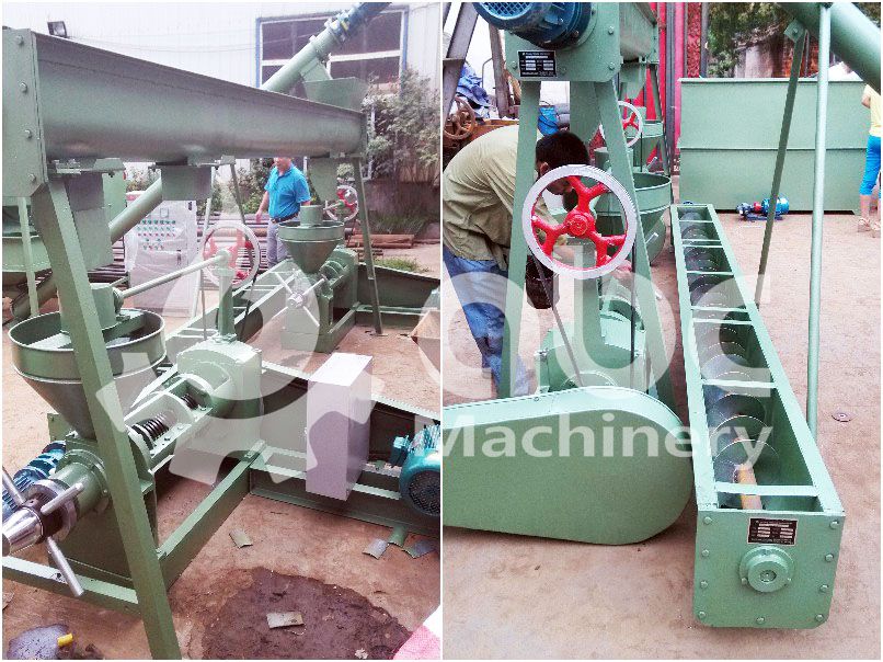 niger seed oil extraction machine set for small scale edible oil production