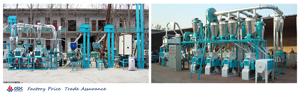 nigeria wheat flour mill plant low cost