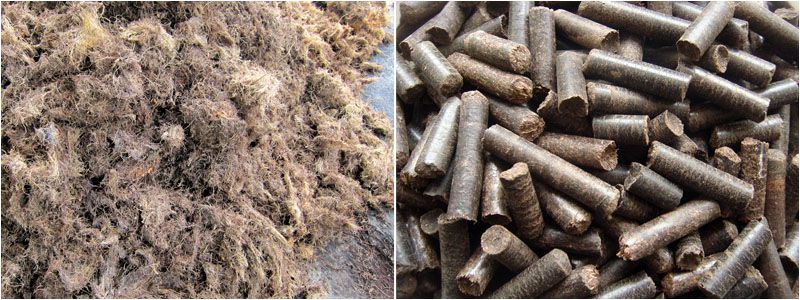 palm fiber to biomass pellets