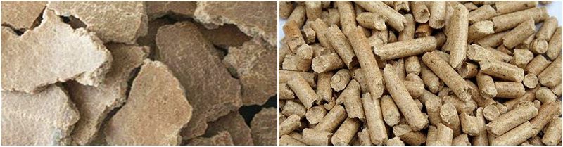 produce cattle feed pellets from peanut groundnut oil cake or meal