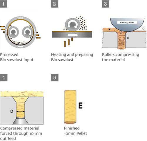 saw dust pelletizing process