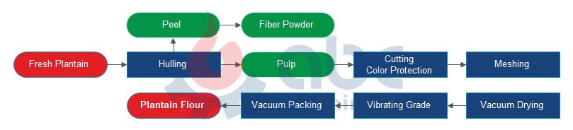 plantain flour milling process