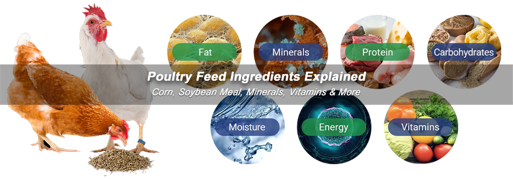 Buy Feed Materials, Affordable Poultry Feed production Line