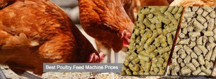 Low Cost Poultry Feed Machine for Sales