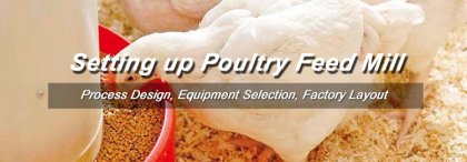 How Much Will Cost to Setup a Poultry Feed Mill?