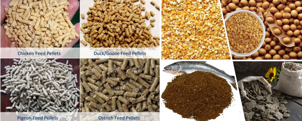 pellet feed manufacturing