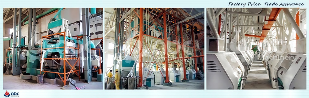 complete wheat flour machine in Egypt 