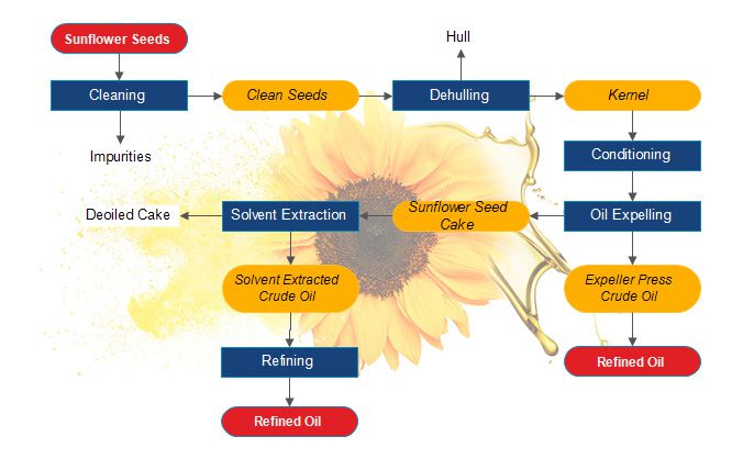 process of making sunflower oil