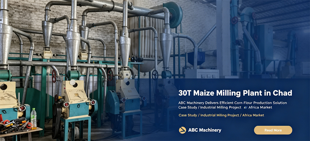 setup profitable 30 TPD maize flour milling plant 