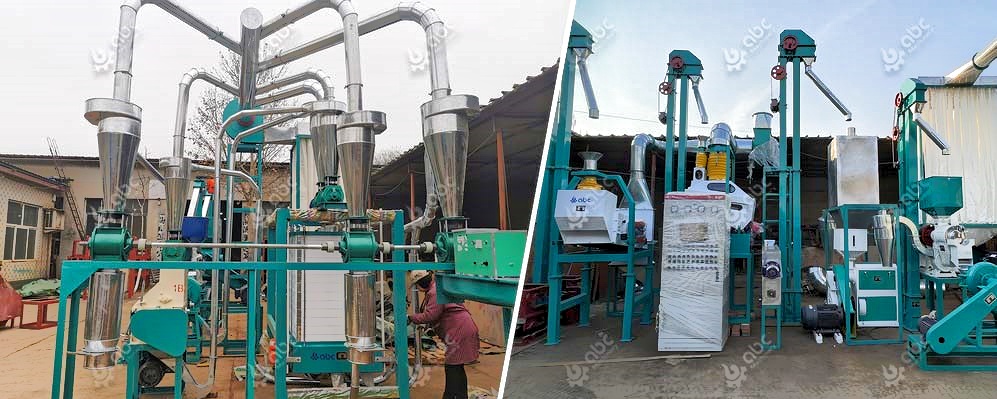 setup maize flour plant low cost