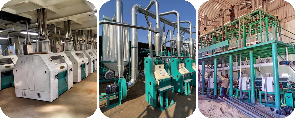 how-to-choose-suitable-corn-flour-manufacturing-plant