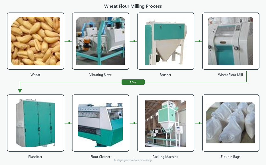 grain flour mill plant low cost