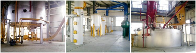 Rice Bran Oil Extraction Plant