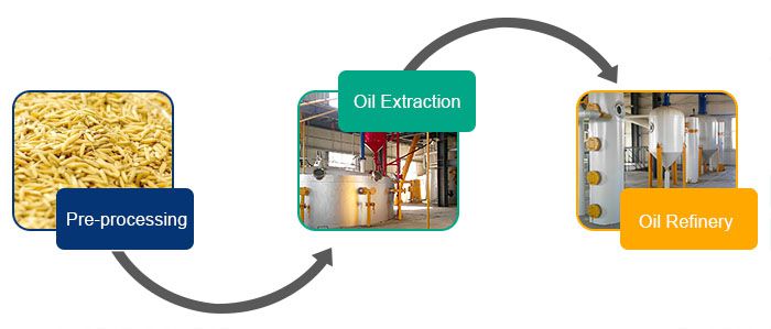 rice bran oil manufacturing process steps