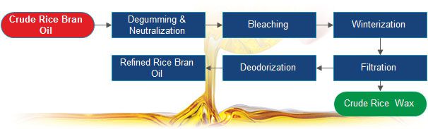 rice bran oil refining process