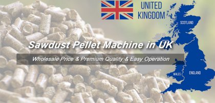 Easy Operate Sawdust Pellet Machine for Sale in UK