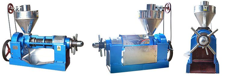 factory price sesame oil press machine expeller for sale