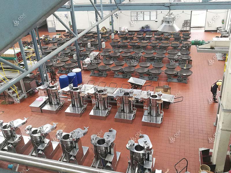 sesame oil processing line with its cost