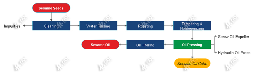 Sesame Oil Production Process by Mechanical Pressing
