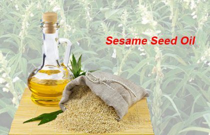 Extract Oil from Sesame Meal With Hexane