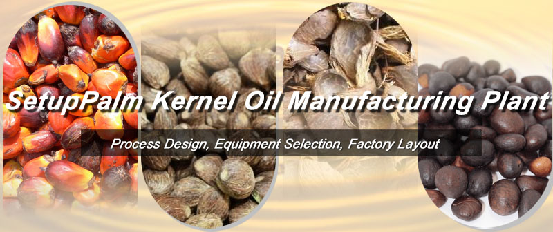 build a complete palm kernel oil processing plant for business