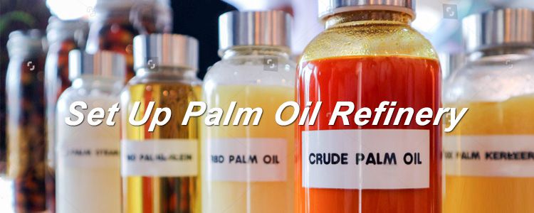 setup palm oil refinery plant low cost